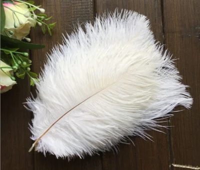 Оптовая продажа красивых натуральных перьев для наращивания волос для женщин